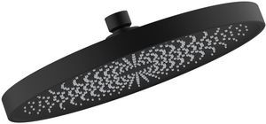 Душевая насадка верхняя круглая, черная, SpaHome, IDDIS, SPA26BPi64