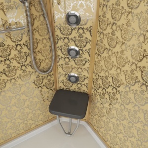 Душевая кабина Niagara Luxe NG-7715G 90х90х220