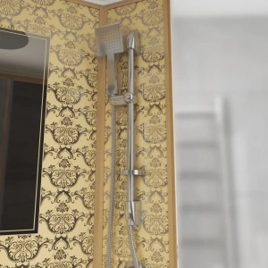 Душевая кабина Niagara Luxe NG-7711GL 120х90х220 L